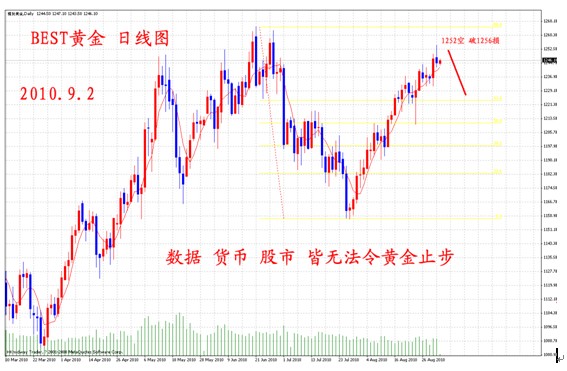 新聞圖片2010821517141283411834890_6332.jpg