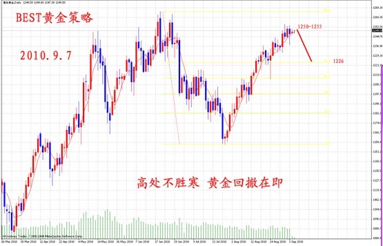 新聞圖片201088151311283929291781_513.jpg